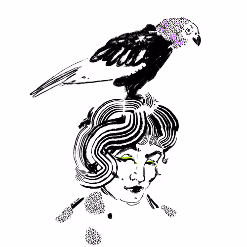 Item #52250949432464816676585729051034576970550509500659641625369807489477784895489 Media