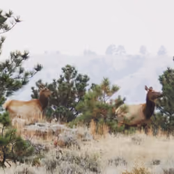 Wyoming Hikes
