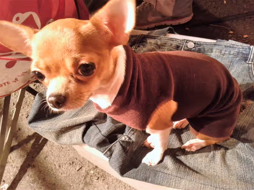 Item #15302775719274355672256911249162138837258661550744590229590932594291969622017 Media