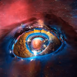 The eye