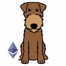 Crypto Flash