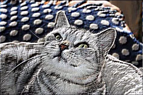 Item #23538819986925566434507765811444276093104658907602947149672917150293393670145 Media