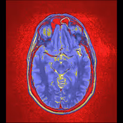 64162533542198579898252916190583583845604629893829087458582976389006808317953