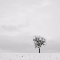 Loneliness