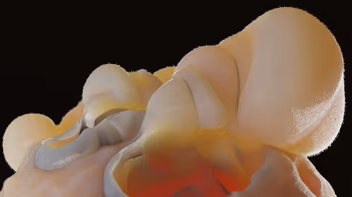 Item #87858548873057691610145785827924316116903784724900626045837509002506704781317 Media