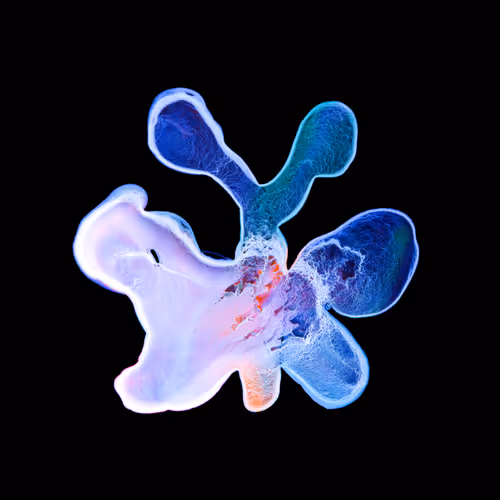 Item #21241348295233725123048088412056156901328443234644052459911106392045085786113 Media