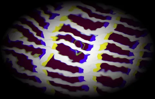 Item #52026421495237307124508671678768982950120800692193749930383155255739917795329 Media