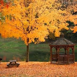 Untitled Collection #444154405