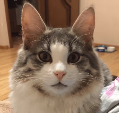 Untitled Collection #78617808