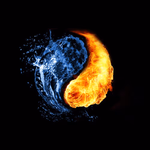 Untitled Collection #172494119