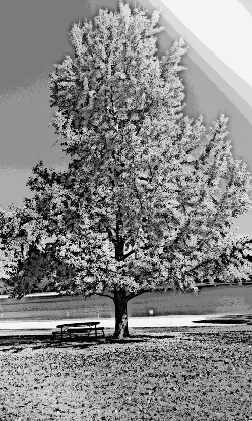 Item #58187110691522992295921100440099975035028125938880026507621860014229876113409 Media