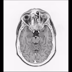 64162533542198579898252916190583583845604629893829087458582976231776645545985