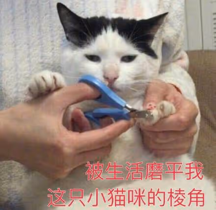 qqq90