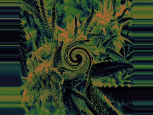 Item #83970981387443879143921485150900069530799783516997234463864977584265331998721 Media