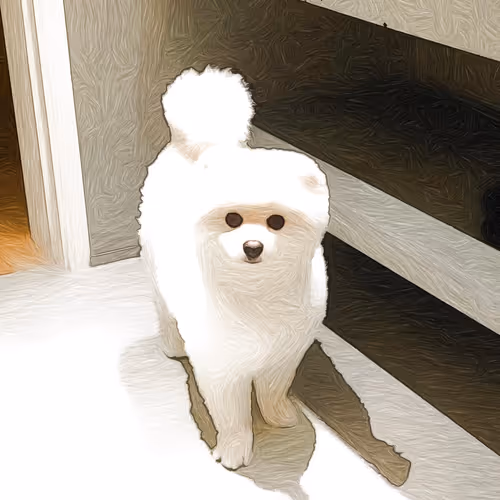 Item #46460775449334421216316860740668723509771506754498136768887223829565477486593 Media