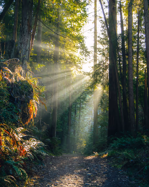 Item #99379921276153973634104125152908526548510783699959858376338453596394825449473 Media