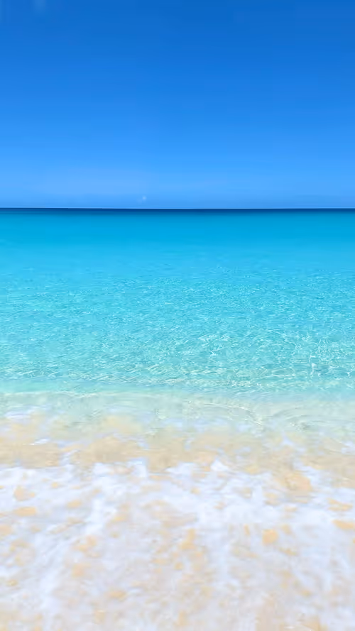 Item #21182267617506779564808976135633405362174435618791925445705395868303710224394 Media