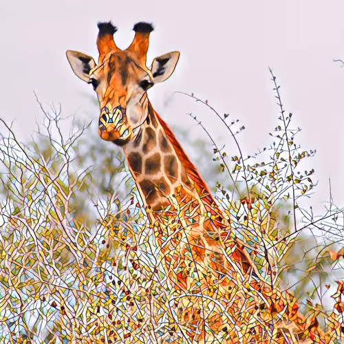 Item #36533665626319121025073050629265904267978963589097367819246711469119174082561 Media