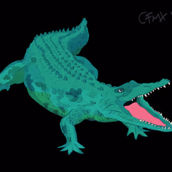 Croc