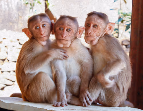 Item #95619151568614802974454947629602672965769746893472874508208249372508053045249 Media