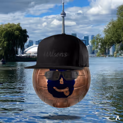 50958973752903565455854469215879591632770460990683765510966563211981942161409