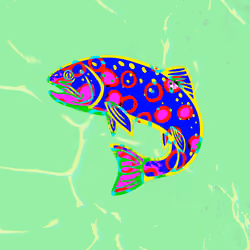 Trout #9