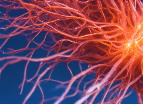 Item #98695163844141812296559601516468632585703412525772017875852753031764461486081 Media