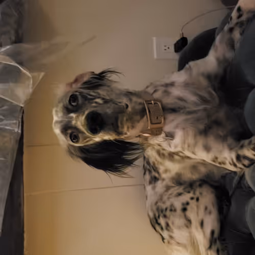 Untitled Collection #10079103