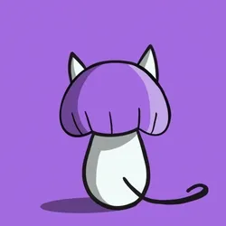 Special XYLLEJ x BACKCAT