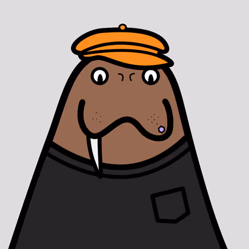 Cute Walrus Club 2
