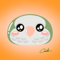Bodayoshi #025