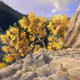 105256046172627502215007797668399292461541372345898512491387109125944520998913