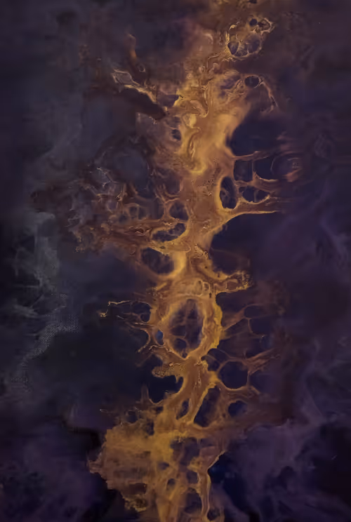 Item #193510912639703180178859119529626067071204281860045261196368105836919128084 Media