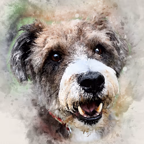 Item #58778693027167081171551254425987739881212938783430637935774676645703841742849 Media