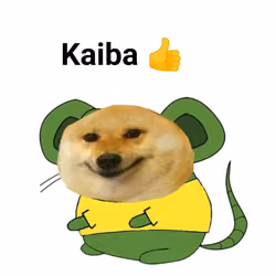 Kaiba 👍