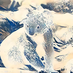 Ocean Koala
