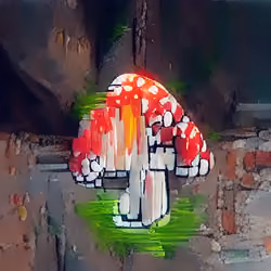 Cool Toadstool