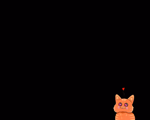 Life about cats