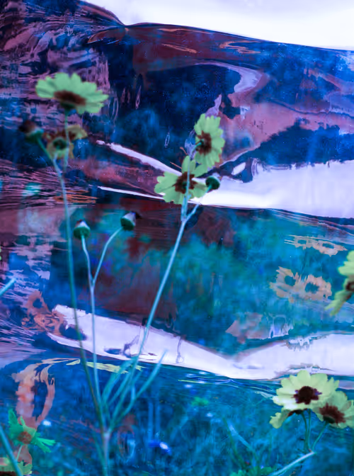 Item #6543125285758794139519418366552479585360659536622126303737985647799917608961 Media