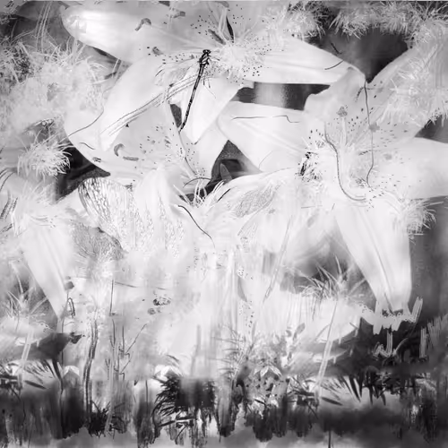 91642206728278766191666267238193115180251034761865766936360919964362827890689