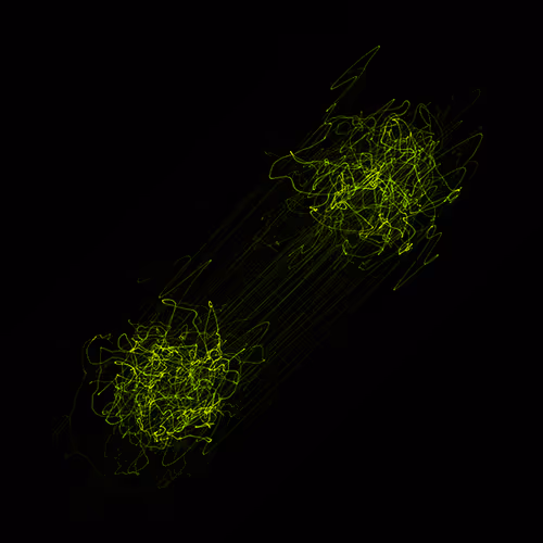 Item #58022428340145391453542665934531688432280773341889981171776041983116457279489 Media