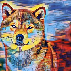 Shiba #2