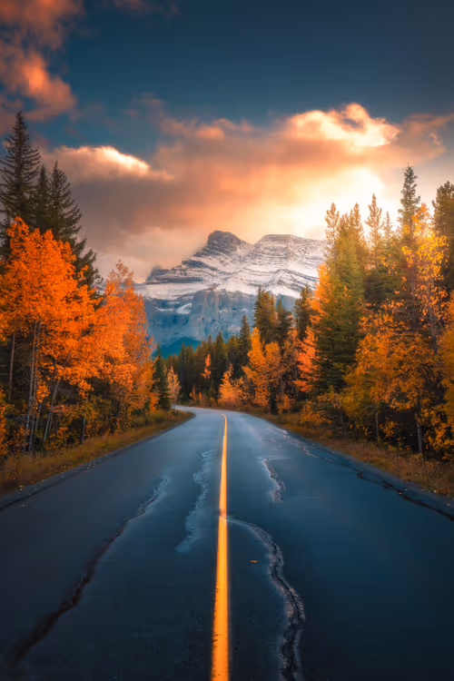 Item #62546128571173573861370652936856218284243546780344801453551937528913060691969 Media