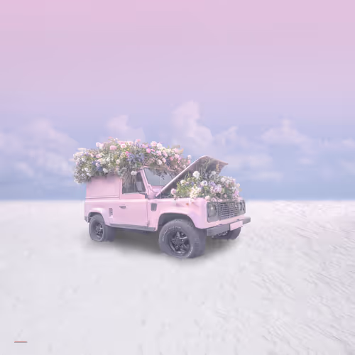 Item #61145918701479575028603571772776356043100956992125002878977818805570883289089 Media