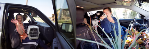 Item #95798395344160826478230491499252628572040143534185362822691349315915828166657 Media