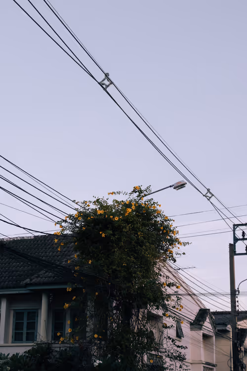 Item #105429247356524574513865010797091204123942859276429583682031123589943995138049 Media