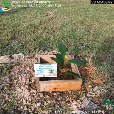 Item #8500196597889277390194123329501889087166328879864934763448348784133895356417 Media