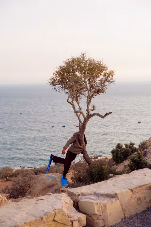 Item #4513353140435915256927038014390726780334549173447047818238800781053534404609 Media