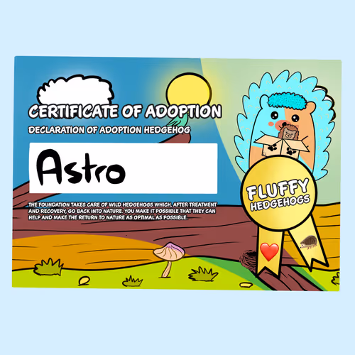 Item #82568299303928421953913761626182899451350454358972335949111842602696128331777 Media