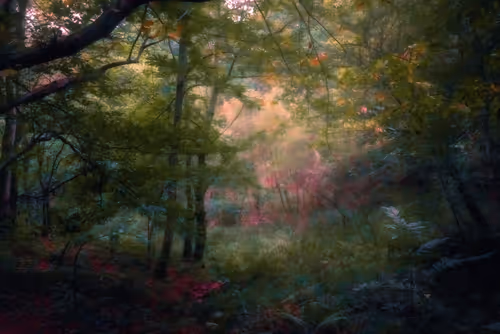 Item #97716626271628656101577116268185940007282338443253569412665055822012114534401 Media